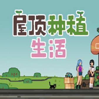 屋顶种植生活